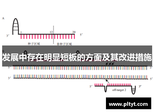 发展中存在明显短板的方面及其改进措施